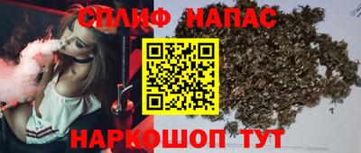 гашик Бузулук