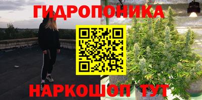гашик Бузулук