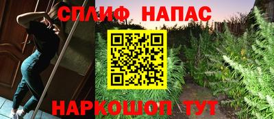гашик Бузулук
